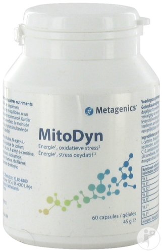 mitodyn